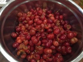 依次全部去完,果肉净重1250克