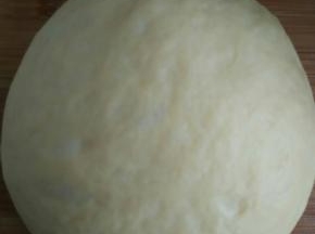 发酵好的面团揉揉排气，醒10分钟
