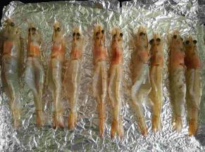 把所有的大虾都取出虾线后，放入铺好锡纸的烤盘里