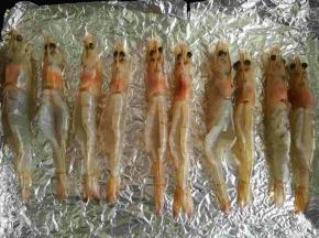把所有的大虾都取出虾线后，放入铺好锡纸的烤盘里