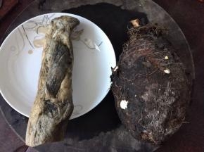 准备好材料