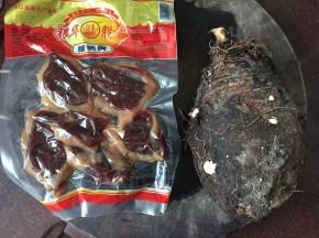 准备好材料