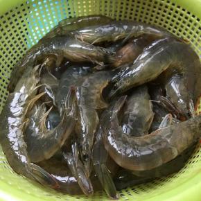 虾去枪去须挑虾线