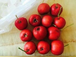 准备食材，山楂，豆沙，冰糖。