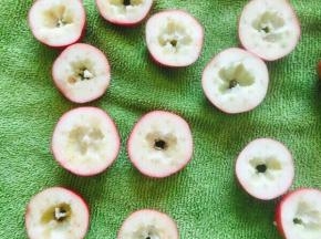 处理好的山楂对半切开。