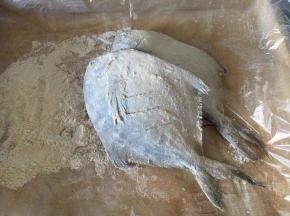 在鱼体的两面都拍上面粉，鱼体挂一层薄薄的面粉即可，多余的面粉要抖下去，如果面粉过多，煎鱼时容易糊锅。记住，是蘸薄薄的一层面粉哦！