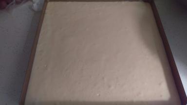 搅拌好以后倒入烤盘。倒进去以后，盘子从10-20CM高处震1-2下。让气泡出来。