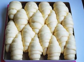 10.表面盖好，发酵至两倍大