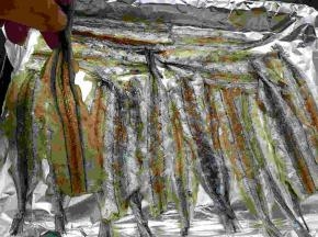 马步鱼用清水洗净后，摆放在铺上锡纸的烤盘中