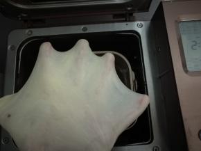 和面结束，检查面团，能够拉出柔韧的薄膜。