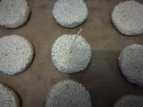 用牙签在上面戳几个洞，防止烤制时膨胀。