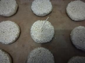 用牙签在上面戳几个洞，防止烤制时膨胀。