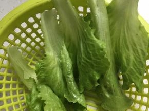 生菜先洗净控水