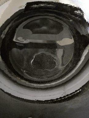 锅中倒适量玉米油烧热