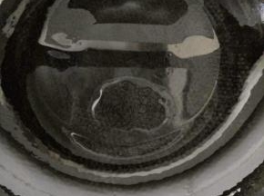 锅中倒适量玉米油烧热