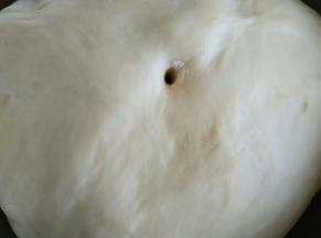 待面团发酵至2倍时，停止发酵