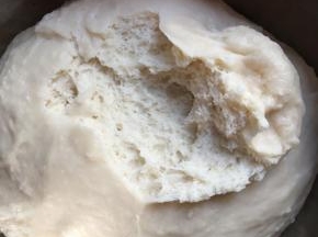 冷藏14小时的中种