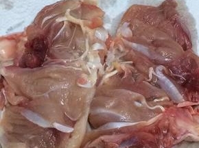 然后拿厨房纸巾吸干上面的水份