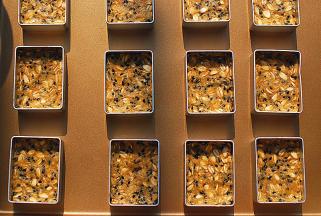 压入凤梨酥模具中，每个约15g左右