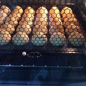 泡芙膨胀过程中