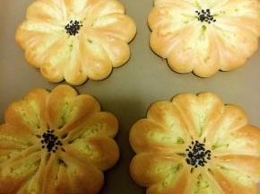 放入烤箱发酵至1.5倍,中间撒上少许芝麻,刷上蛋液,烤箱上下管预热170度预热五分钟,放入面包烤15分钟