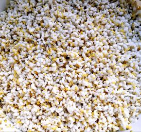 米洗净，提前浸泡半小时