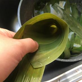 取三片棕叶排好，弯成锥型