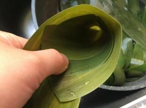 取三片棕叶排好，弯成锥型