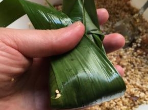 把棕叶盖过去，绕下面一个圈