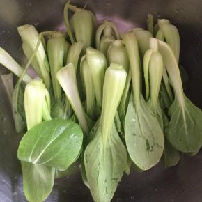 油菜清洗干净，开水里焯烫两分钟。