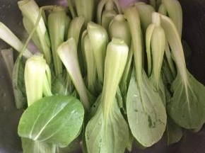 油菜清洗干净，开水里焯烫两分钟。