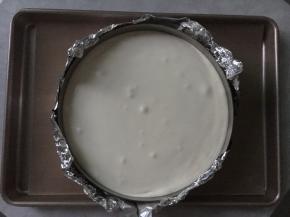 倒入椰汁慕斯糊至满模。