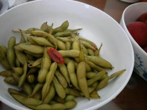 开锅后小火煮15分钟左右，豆子煮熟后在汤中浸泡至自然冷却