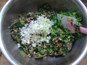 小白菜和肉馅搅拌均匀，放入葱，拌匀。