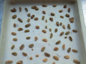 均匀的撒在铺了油纸的烤盘上。