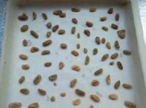 均匀的撒在铺了油纸的烤盘上。