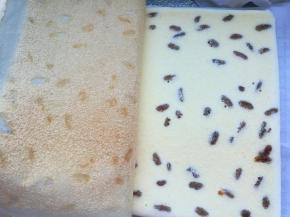 晾至手温后，用一张干净的油纸放在蛋糕上，翻过来，揭开油布，用揭开的油布盖在蛋糕上，再翻过来。