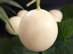 1、做这个花蓝要挑一个形状圆润端正，果型饱满的甜瓜，这样做出来的花蓝才好看。