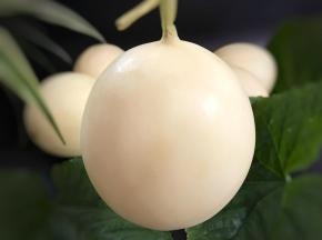1、做这个花蓝要挑一个形状圆润端正，果型饱满的甜瓜，这样做出来的花蓝才好看。