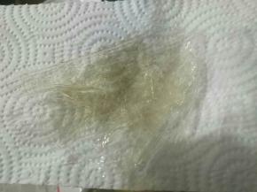 吉利丁片用厨房纸巾吸干水分，放入留有余温的牛奶蛋黄糊中，用余温将其融化，搅拌均匀（注意，融化吉利丁片的温度不能太高，避免吉利丁片失效）