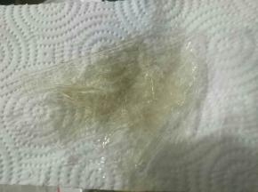吉利丁片用厨房纸巾吸干水分，放入留有余温的牛奶蛋黄糊中，用余温将其融化，搅拌均匀（注意，融化吉利丁片的温度不能太高，避免吉利丁片失效）