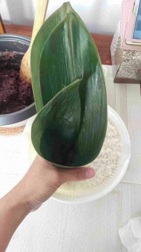 2：把粽叶2张叠在一起，靠近自己的一张放上面并且靠近自己1-2CM这样。这样可以包的比较大点，在粽子叶的中间靠左一点的地方两手抓着叶子往身体的反方向折起来，下面尾巴要留2cm左右并且向左折过来，这样不会漏。厉害的用一张就好，2张是比较安全，不容易漏。



