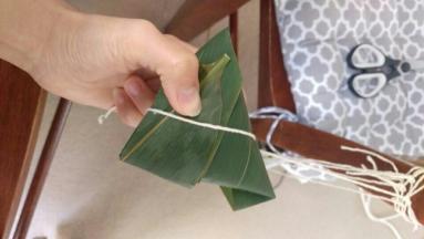 最后用线绑紧，不要拉太紧，只要不要让叶子松掉就行了。



 






7：最后用线绑紧，不要拉太紧，只要不要让叶子松掉就行了。



 




