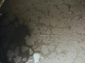 饼铛刷油，预热。