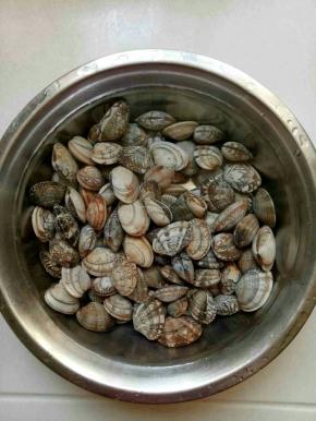 花甲用盐水浸泡半小时，吐净里面的泥沙