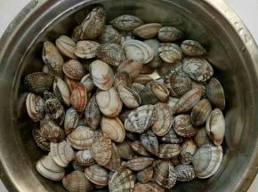 花甲用盐水浸泡半小时，吐净里面的泥沙