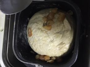 桂圆也一起加入