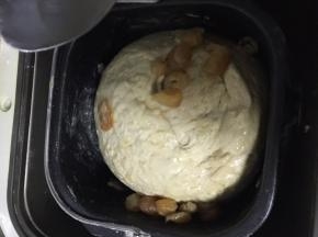 桂圆也一起加入