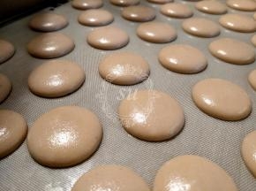 在玻璃纤维垫上均匀挤好。然后我们就可以放置晾壳了。我在北方所以晾壳很方便，南方的朋友们或许会哭的。哈哈 。晾壳的时候烤箱热风功能。
    170℃预热。 晾到用手轻触马卡龙手感像包裹鸡蛋的那层膜时即可