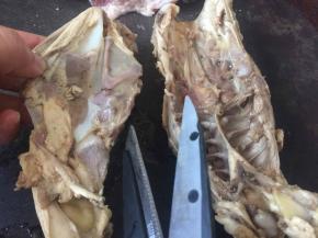 鸡骨架用厨房剪刀剪成大块